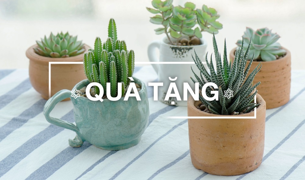     QUÀ TẶNG