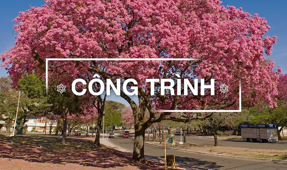 CÂY CÔNG TRÌNH