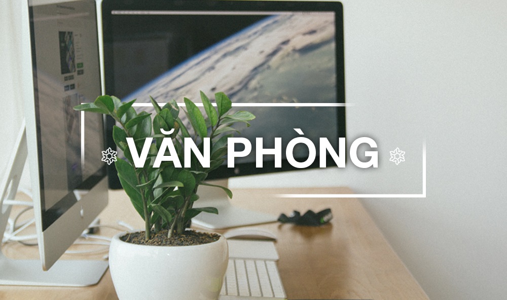 CÂY VĂN PHÒNG